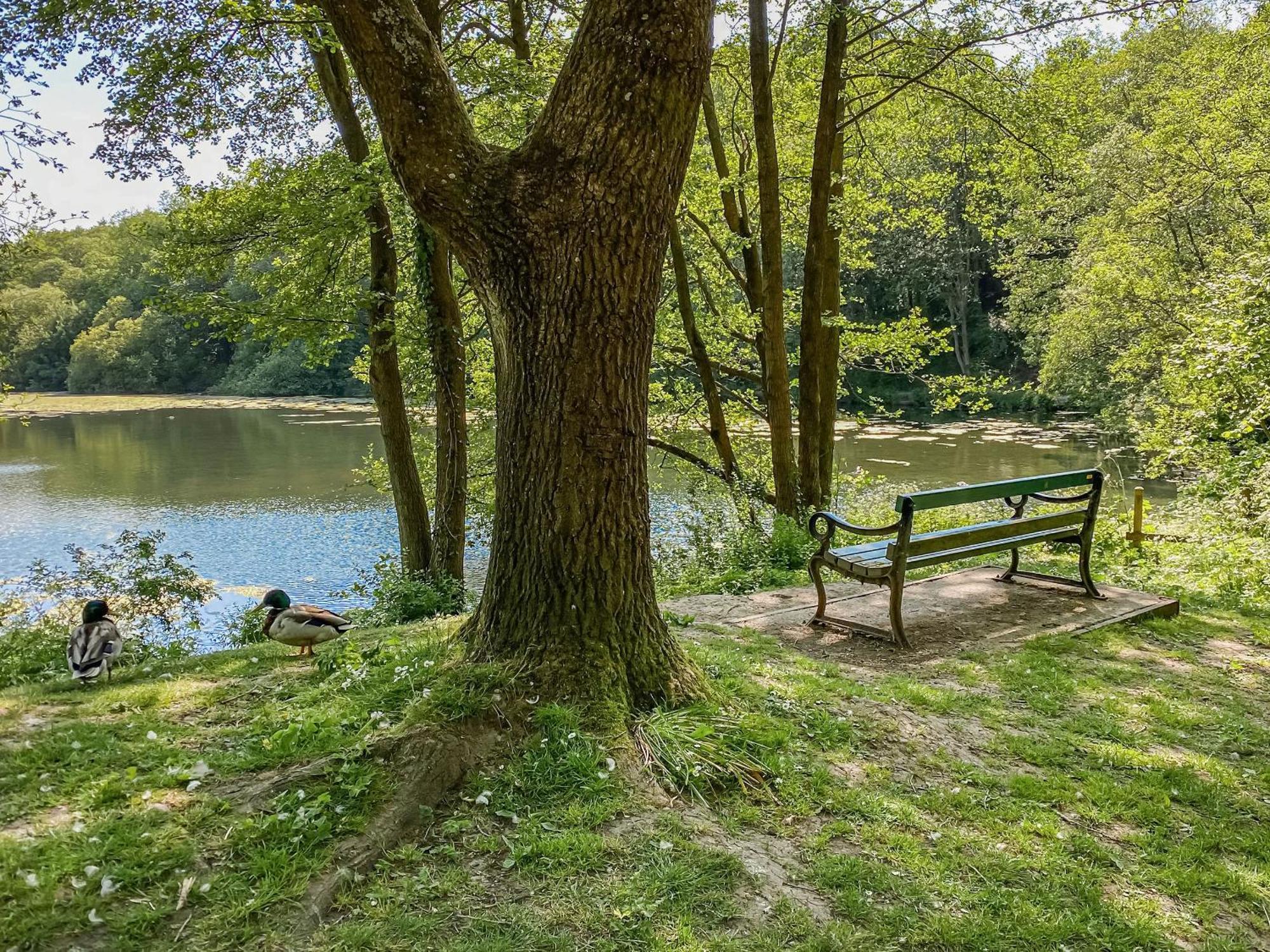 Serenity- Uk38551 Endon Luaran gambar